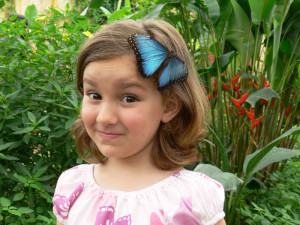 butterfly-park