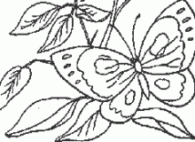 dibujo2_prev