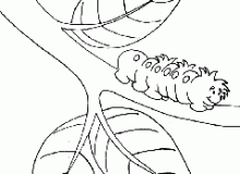 dibujo6_prev