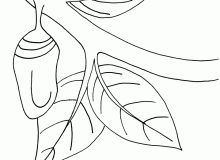 dibujo7
