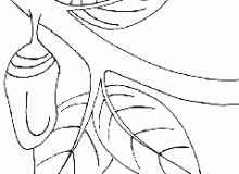 dibujo7_prev
